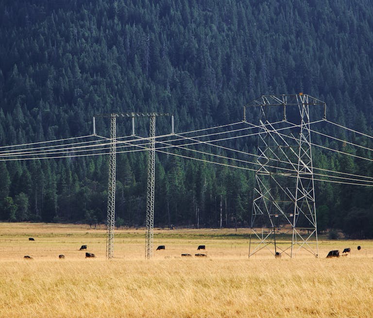 pexels-photo-5118333